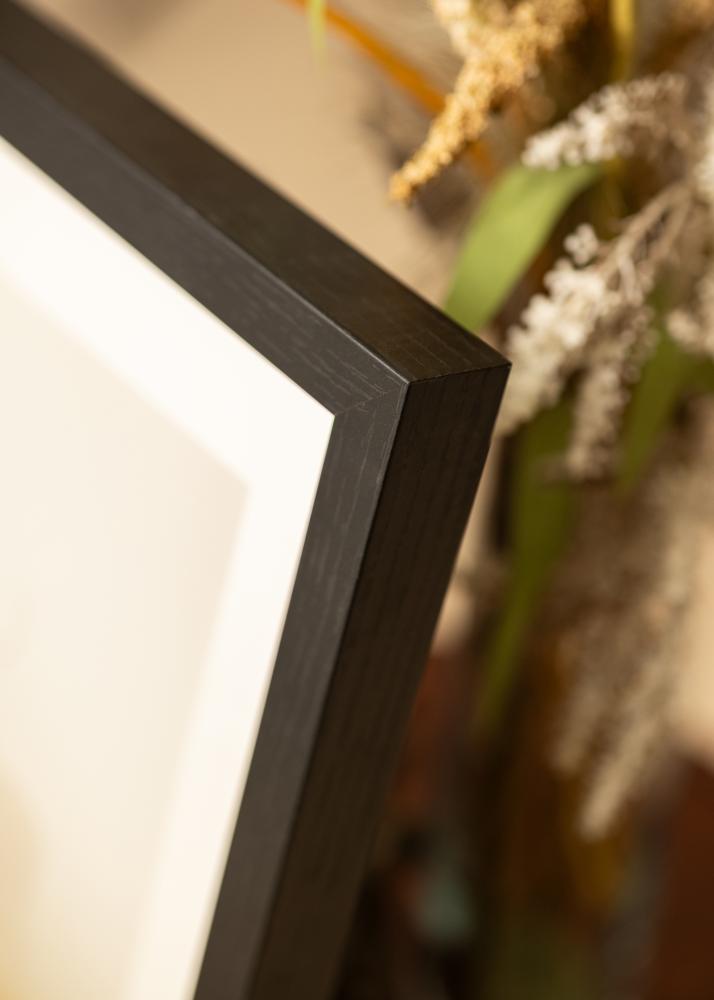 BGA BGA Objektrahmen Acrylglas Schwarz 50x100 cm