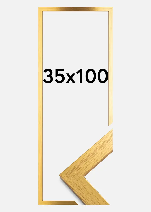 Galleri 1 Rahmen Gold Wood Acrylglas 35x100 cm