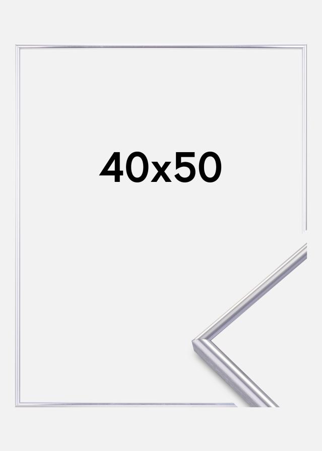 Focus Rahmen Can-Can Silber 40x50 cm