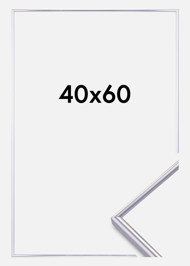 Focus Rahmen Can-Can Silber 40x60 cm