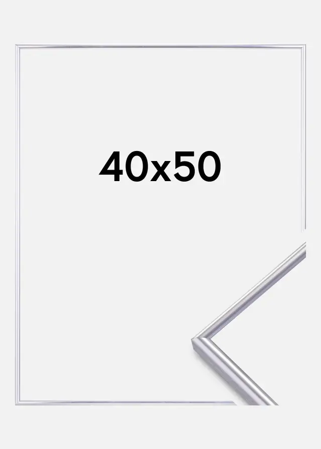 Focus Rahmen Can-Can Silber 40x50 cm