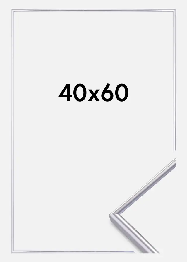 Focus Rahmen Can-Can Silber 40x60 cm