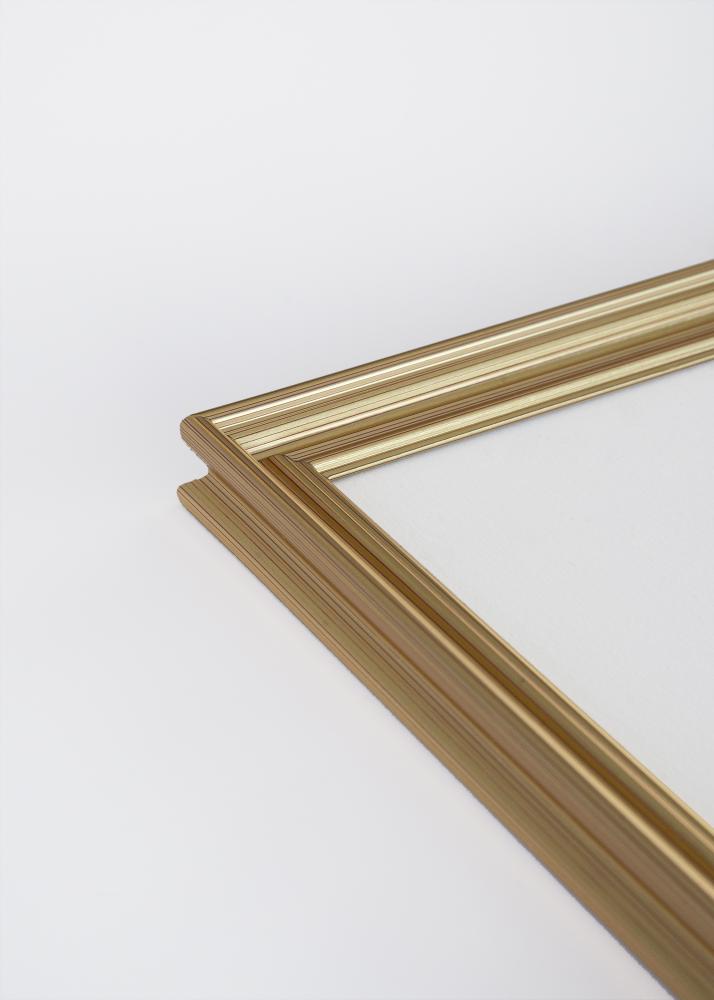 Focus Rahmen Verona Gold 15x20 cm