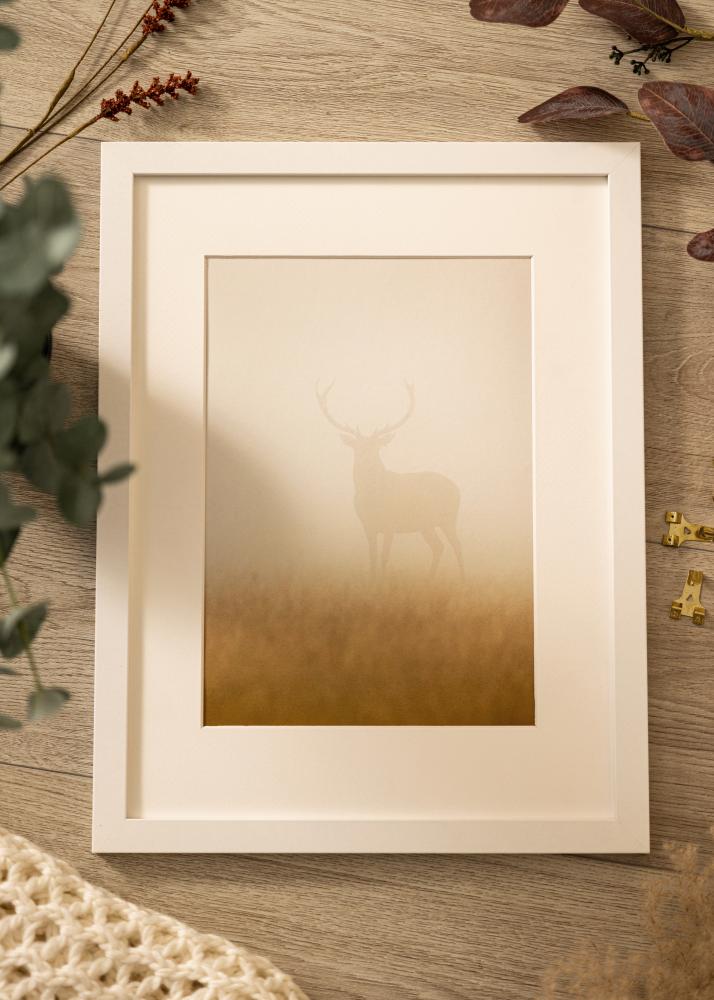 BGA Rahmen Deco Acrylglas Weiß 60x60 cm