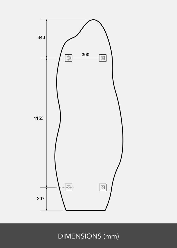 BGA Spiegel Echo 60x170 cm