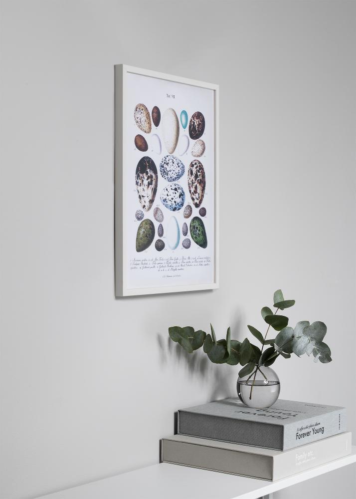 Ram med passepartou Rahmen Oslo Weiß 60x60 cm - Passepartout Schwarz 50x50 cm