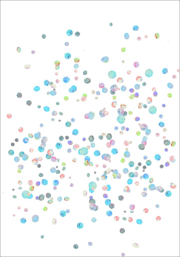 Bildverkstad Plankton