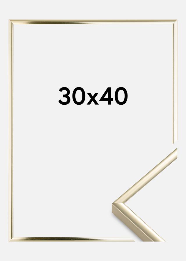Estancia Rahmen Aluminium Acrylglas Gold Glänzend 30x40 cm