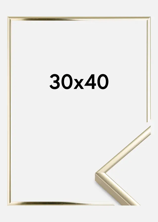 Estancia Rahmen Aluminium Acrylglas Gold Glänzend 30x40 cm