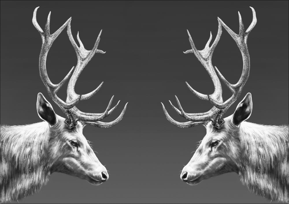 Bildverkstad REINDEER DOUBLE Poster