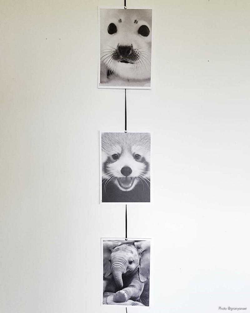 Dahl & Krohn Baby Red Panda