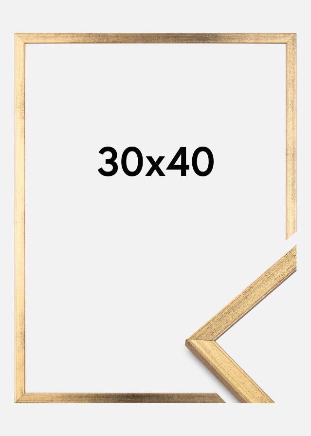 Estancia Rahmen Galant Gold 30x40 cm