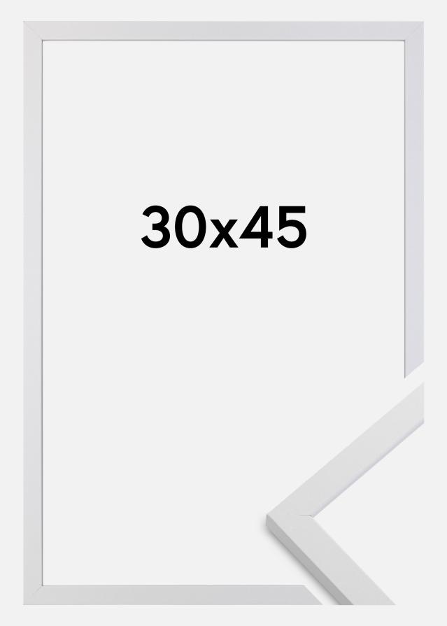 BGA Rahmen Trendy Acrylglas Weiß 30x45 cm