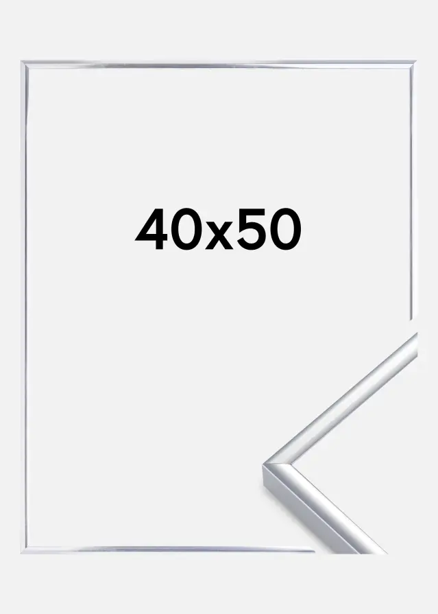 Estancia Rahmen Aluminium Acrylglas Silber Glänzend 40x50 cm