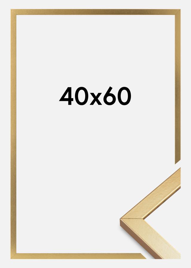 Mavanti Rahmen Minerva Acrylglas Gold 40x60 cm