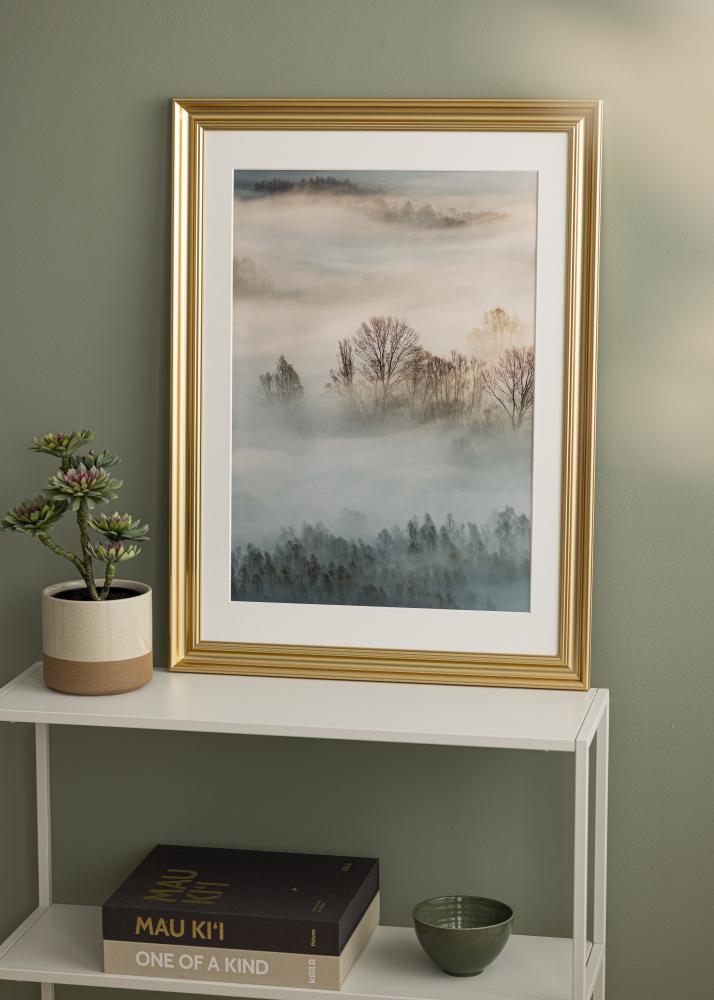 Focus Rahmen Charleston Gold 50x50 cm