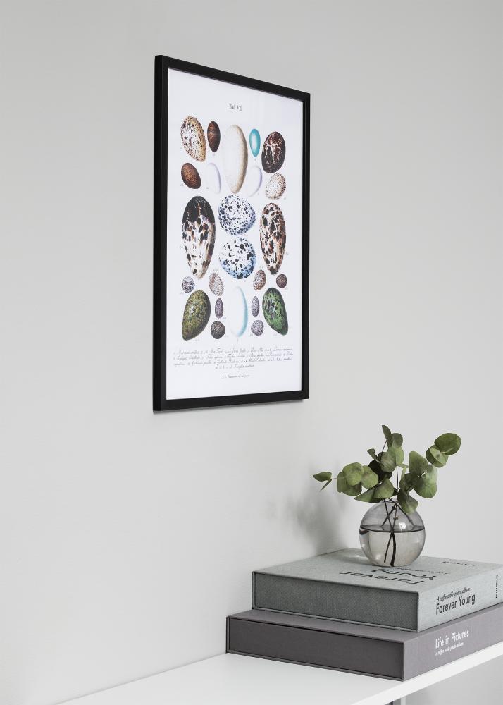 Galleri 1 Rahmen Frame Black 29,7x42 cm (A3)