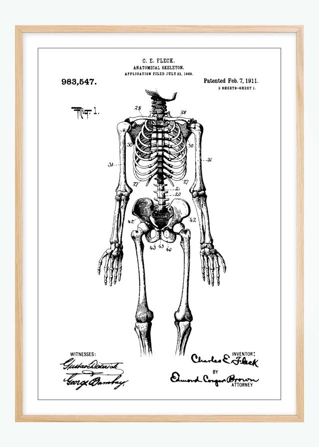 Bildverkstad Patentzeichnung - Anatomisches Skelett I Poster
