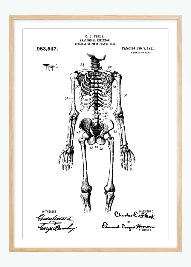 Bildverkstad Patentzeichnung - Anatomisches Skelett I Poster