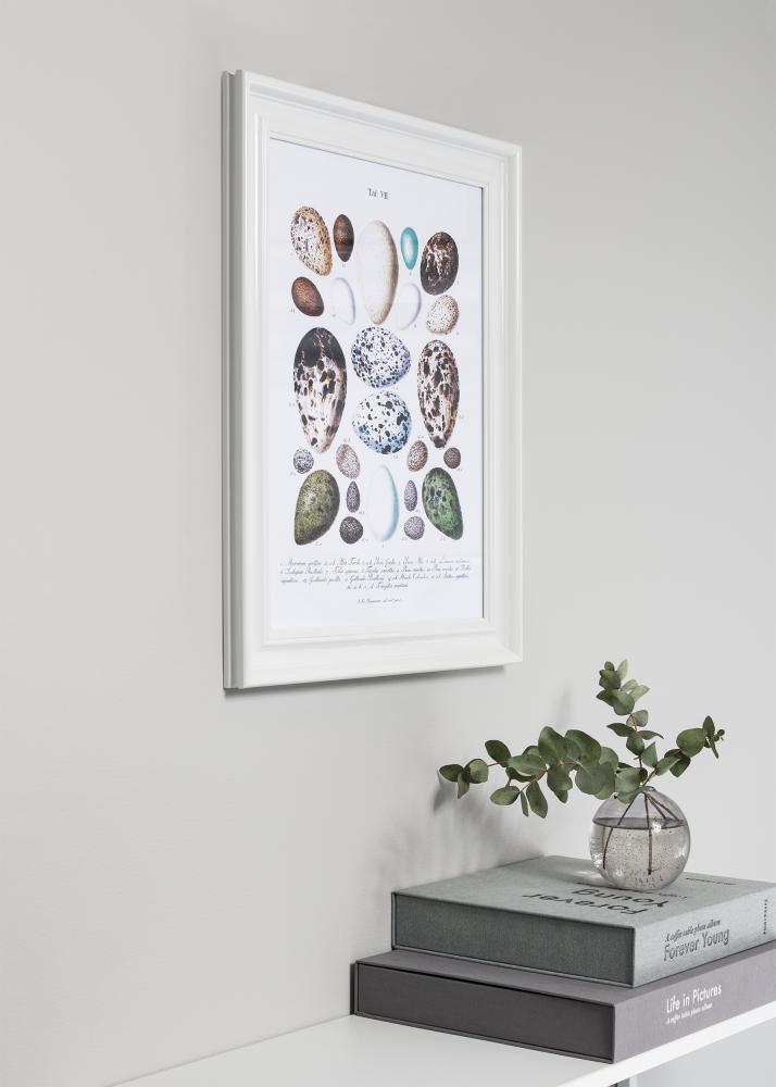 Focus Rahmen Charleston Weiß 50x70 cm