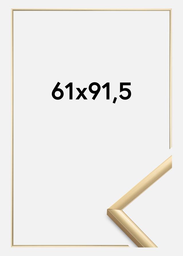 Walther Rahmen New Lifestyle Acrylglas Gold 61x91,5 cm