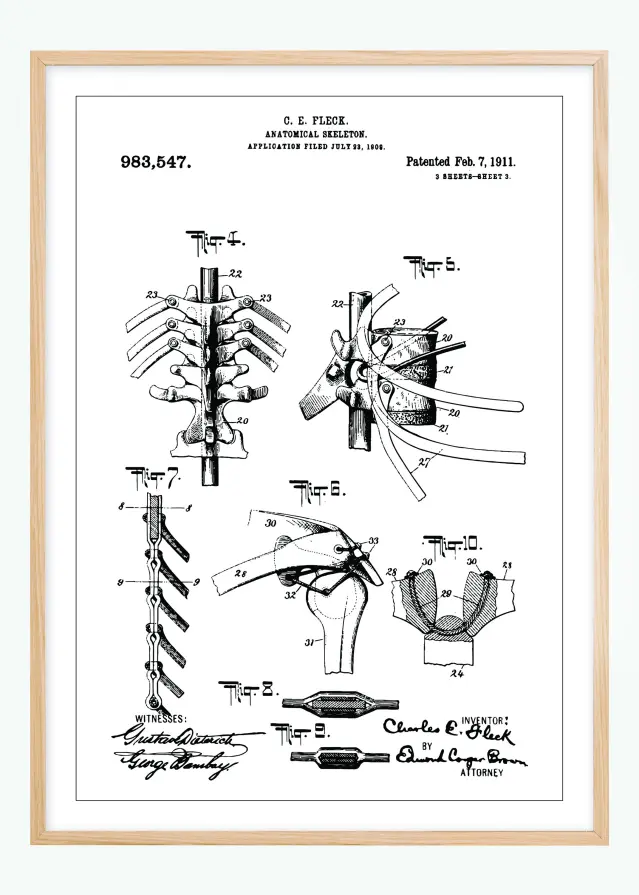 Bildverkstad Patentzeichnung - Anatomisches Skelett III Poster