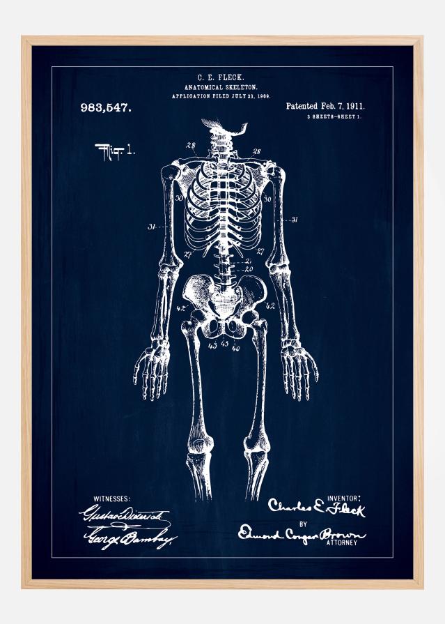 Bildverkstad Patentzeichnung - Anatomisches Skelett I - Blau Poster