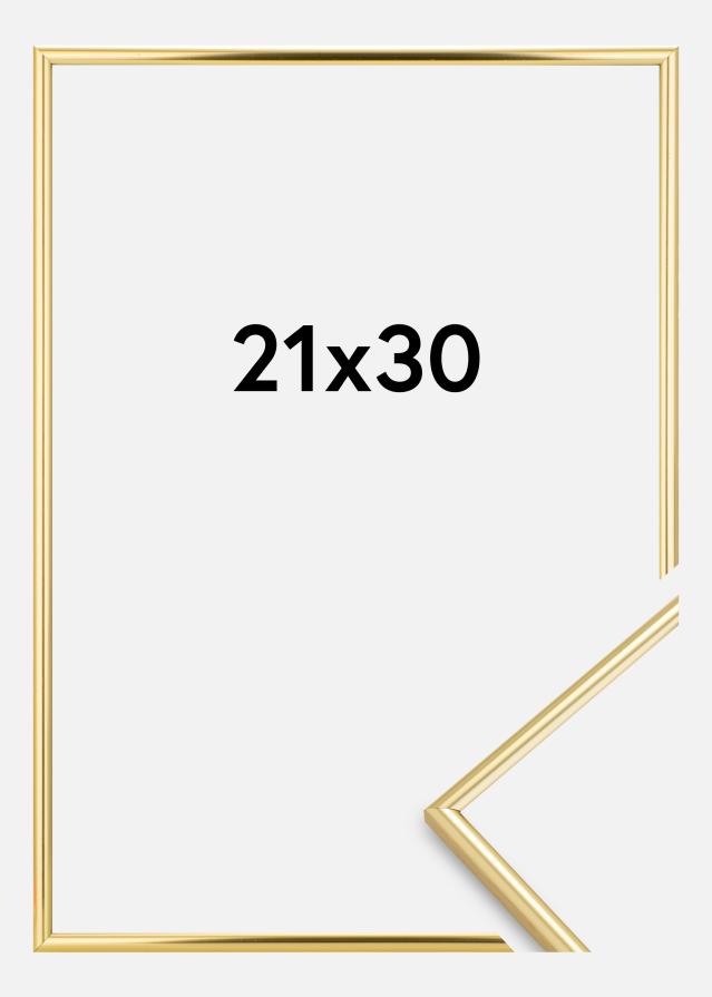 Focus Rahmen Can-Can Gold 21x30 cm