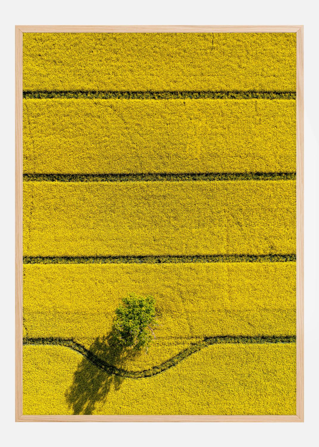 Product Image for In My Way Poster (21x29.7 cm (A4))