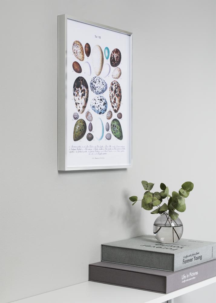 Nielsen Rahmen Nielsen Premium Alpha Blank Silber 84,1x118,9 cm (A0)