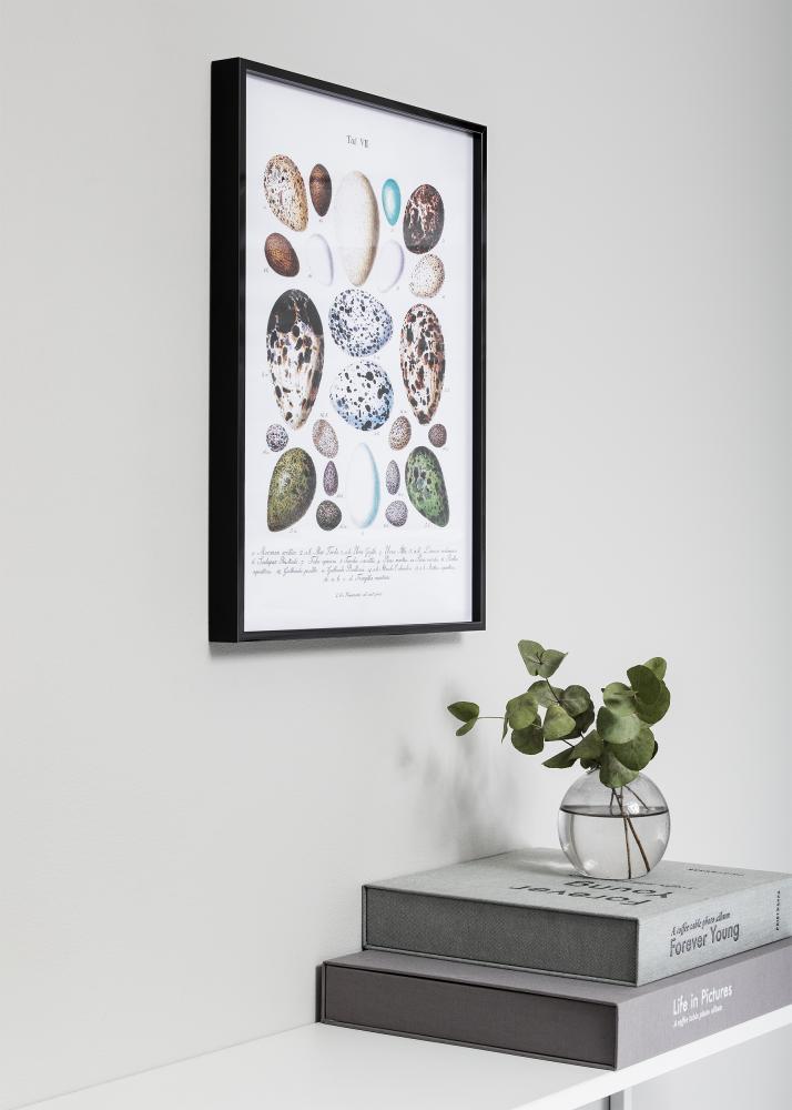 Nielsen Rahmen Nielsen Premium Alpha Blank Schwarz 59,4x84,1 cm (A1)