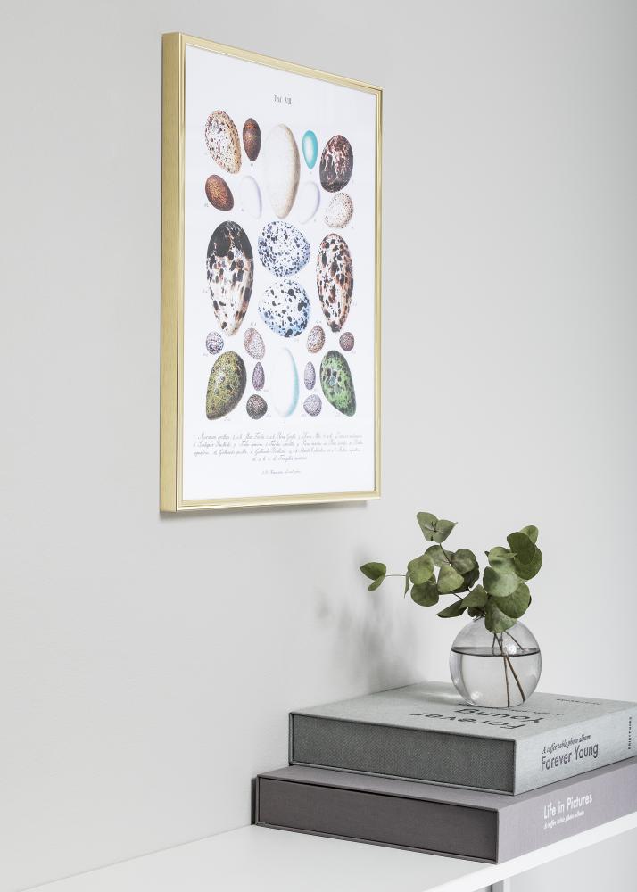 Nielsen Rahmen Nielsen Premium Classic Gold 70x100 cm