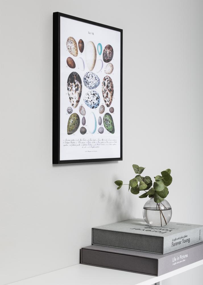 Nielsen Rahmen Nielsen Premium Classic Matt Schwarz 60x80 cm