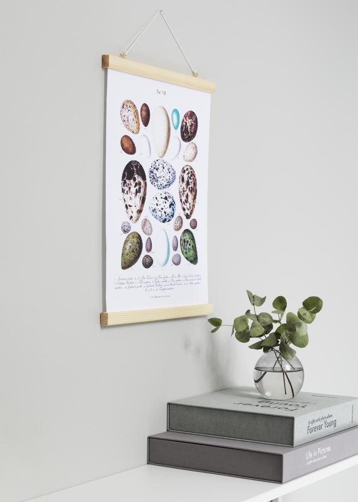 Artlink Posteraufhängung Nature - 71 cm