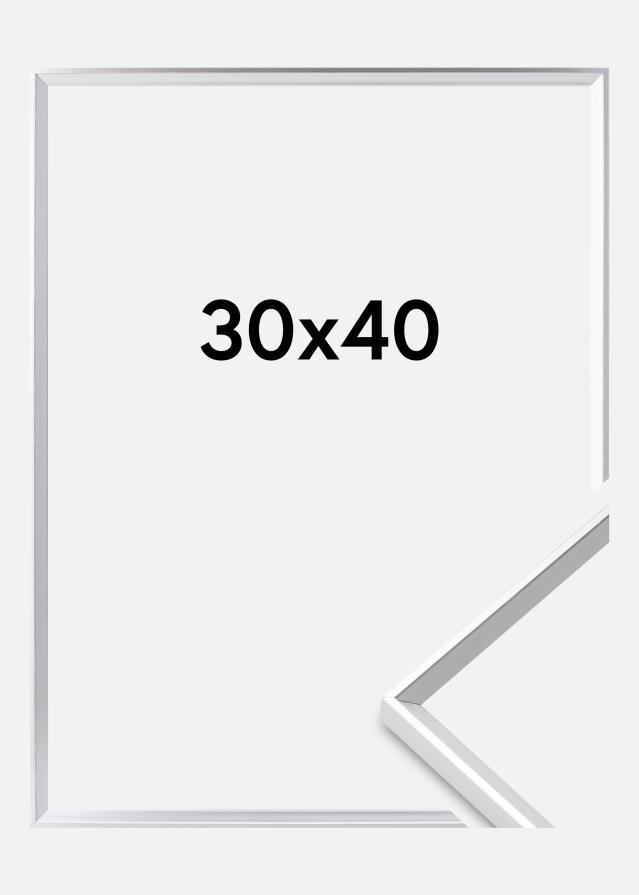 Walther Rahmen Desire Acrylglas Silber 30x40 cm