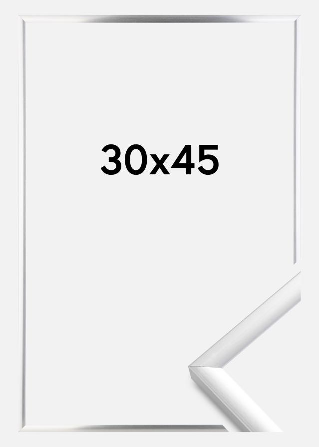 Walther Rahmen New Lifestyle Silber 30x45 cm