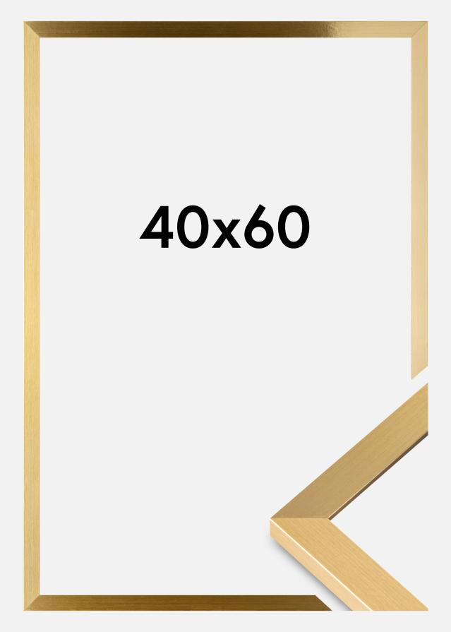 BGA Rahmen Selection Acrylglas Gold 40x60 cm