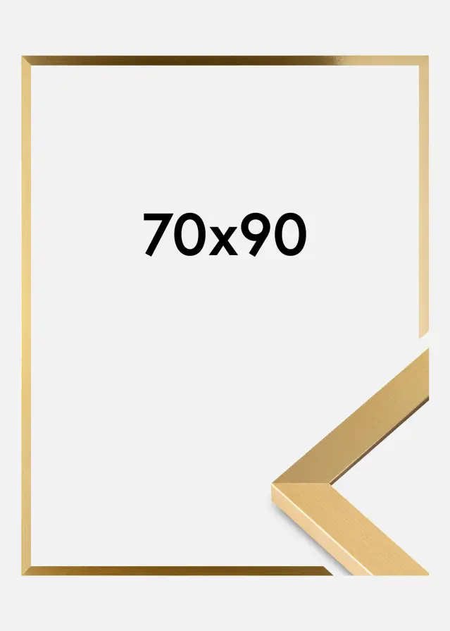 BGA Rahmen Selection Acrylglas Gold 70x90 cm