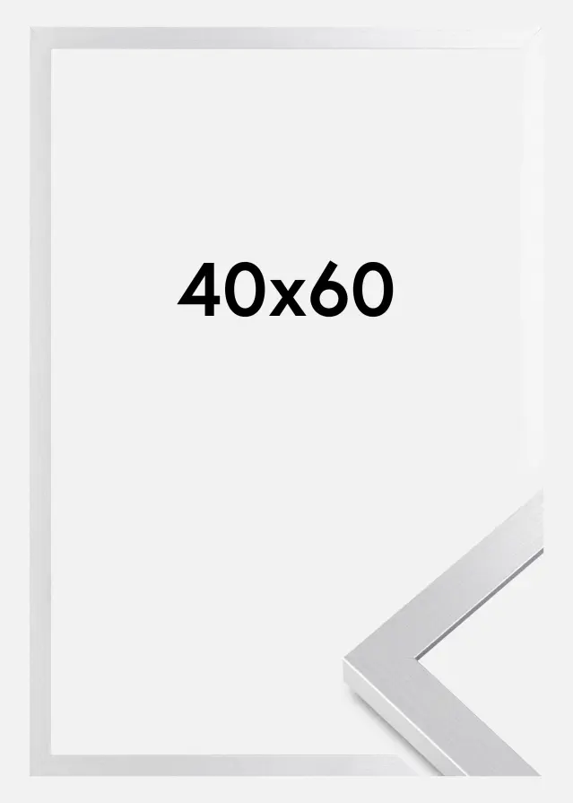 BGA Rahmen Selection Acrylglas Silber 40x60 cm