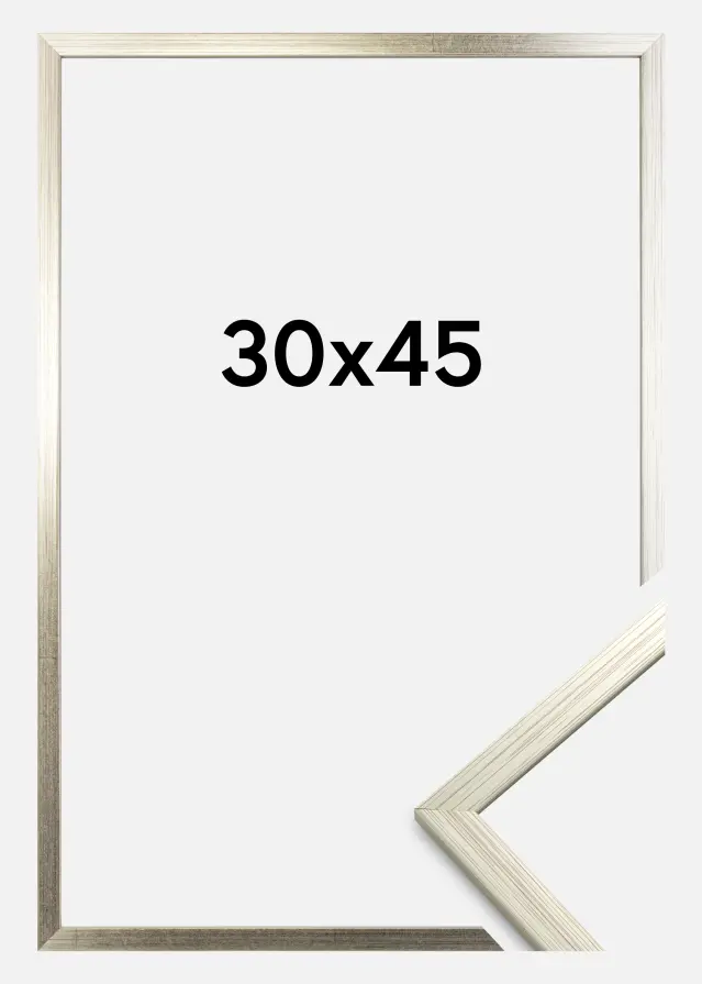 Galleri 1 Rahmen Edsbyn Acrylglas Silber 30x45 cm