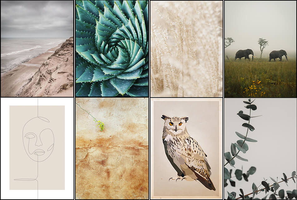 Poster in natürlichen Farben - naturnahe Einrichtung